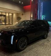  سكاليد سبورت بلاتنيوم 2025 للبيع 