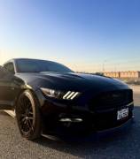 فورد موستانج 2015 للبيع 