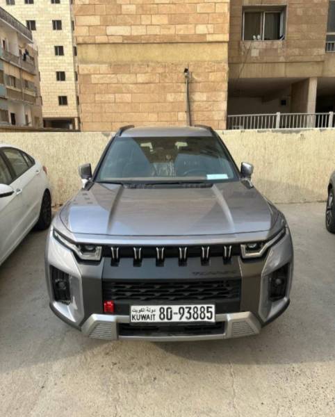 سانج يونج توريس 2024 للبيع 