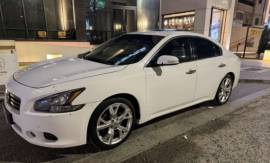 سيارة نیسان مكسيما  | 2014 للبيع