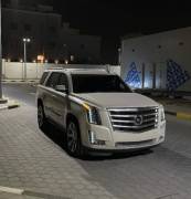 سكلد 2015 للبيع 