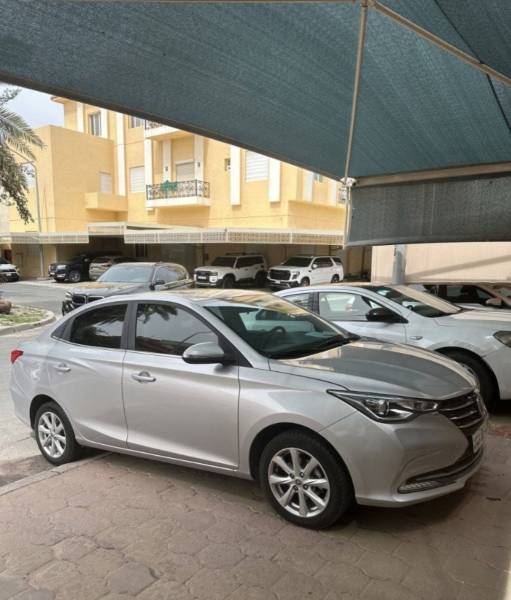 للبيع شانغان السفين 2024