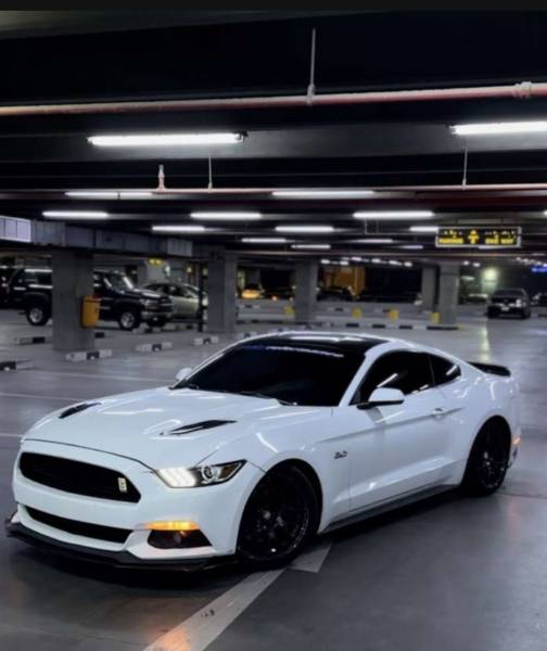 للبيع فورد موستنق GT 2015