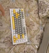 كيبورد للبيع