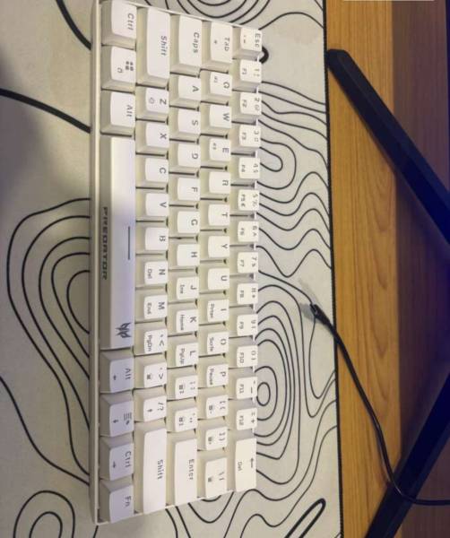 Asus predator للبيع كيبورد