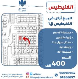 للبيع ارض في الفنيطيس