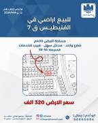 للبيع ارض في الفنيطيس قطعه 7