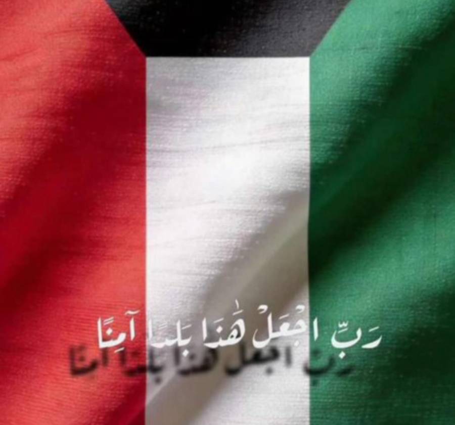 17 برو ماكس للبيع ايفون