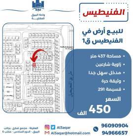 للبيع ارض في الفنيطيس