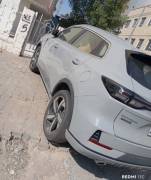   شنحان  2025 للبيع 