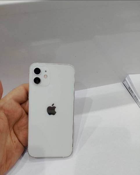 ايفون 12 عادي للبيع 
